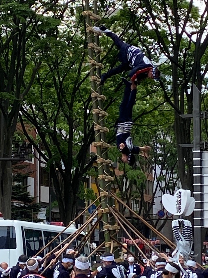 仙台　青葉祭り‼️