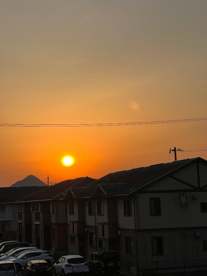 今朝の風景