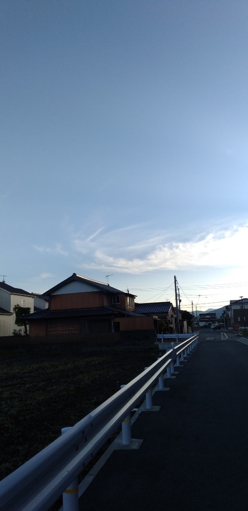 犬の散歩道