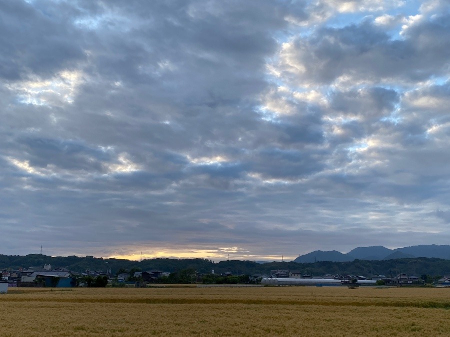 今朝の空