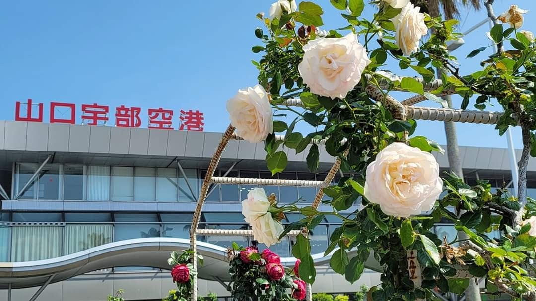 薔薇園   宇部空港