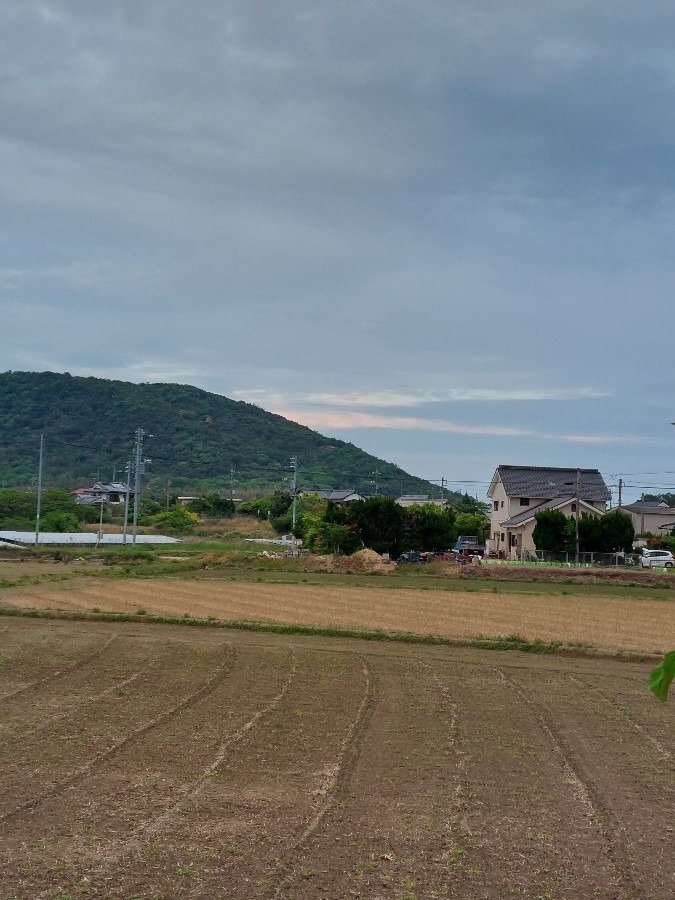 夕暮れ前の東の空