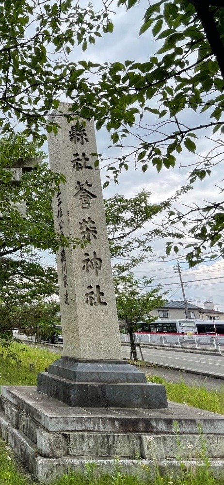 蒼柴神社⛩