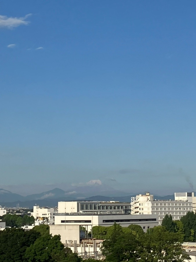 今朝の富士山