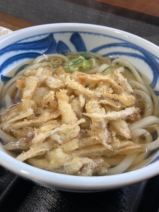 今日のお昼はうどん‼️