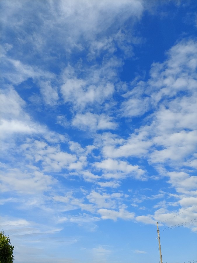 宇部市の今空