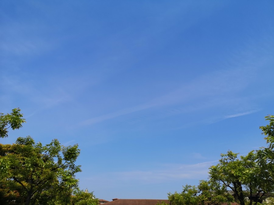 今、空✨✨✨　午前９時