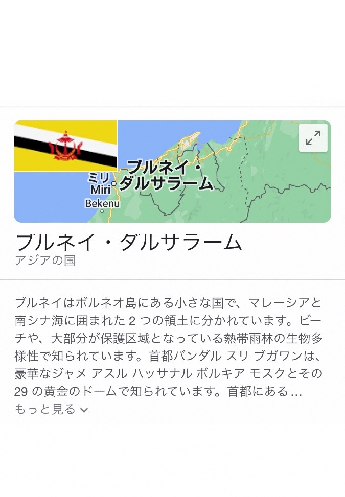 最近大阪在住のブルネイ出身のワイン輸入会社の女性役員と仲良くなっていろいろ話しています✨