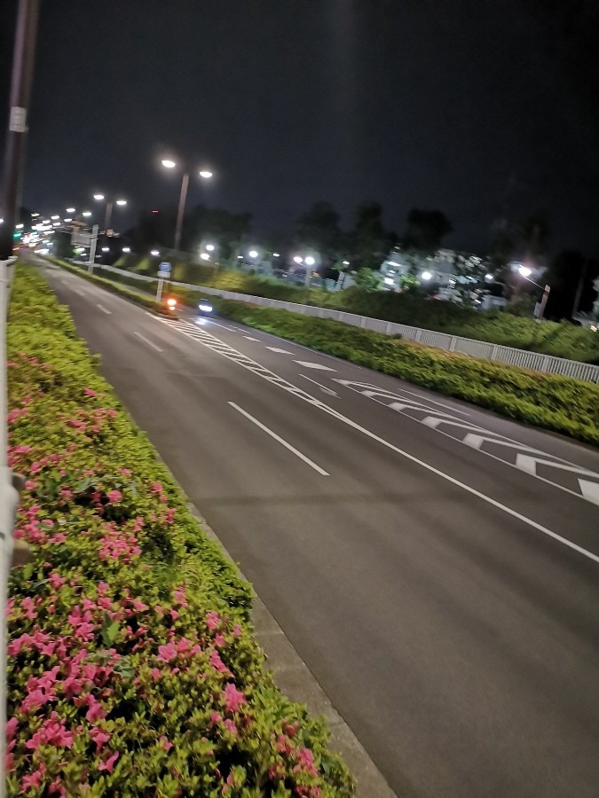 深夜の、新府中街道✨