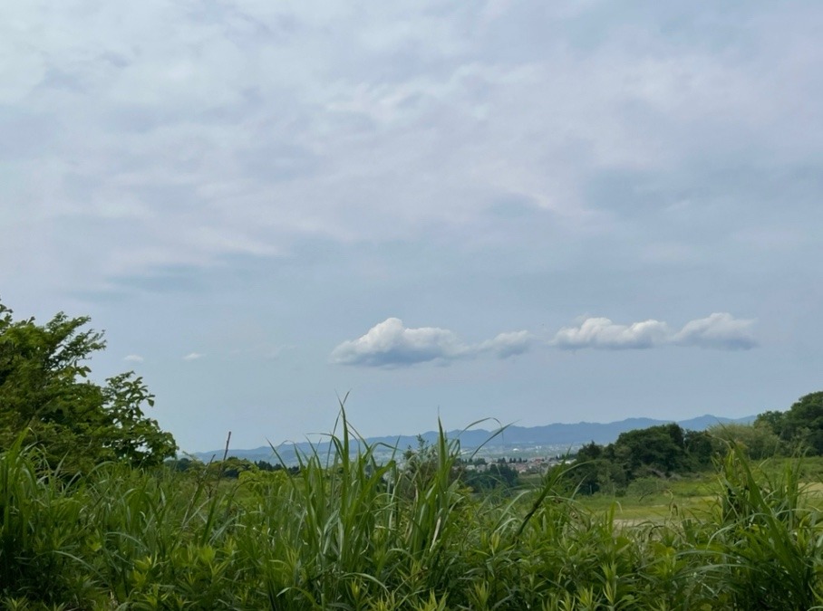 森のようちえんからの雲