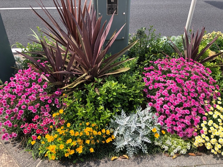 街角の花壇