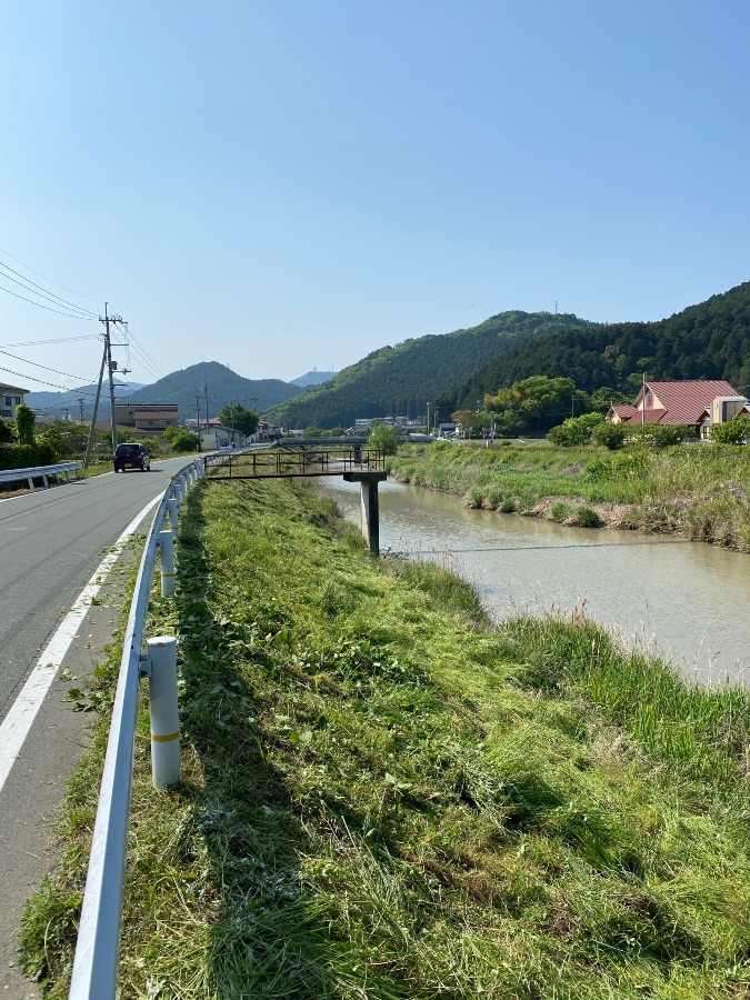 地域の奉仕作業‼️その2