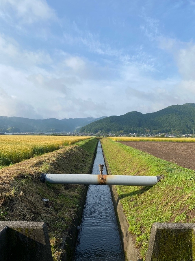 今朝そら‼️その5