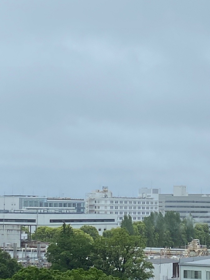 今朝の富士山