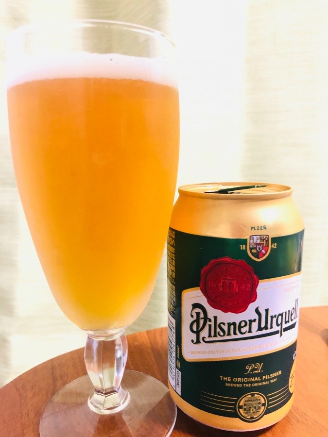 今日の一杯🍺