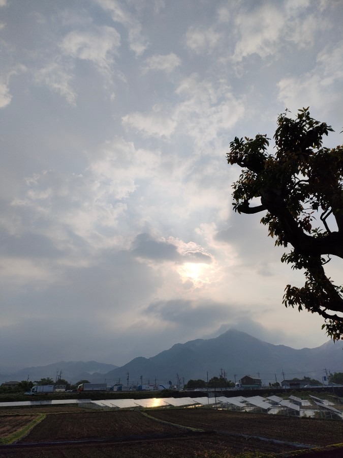 5月が終わります☀️