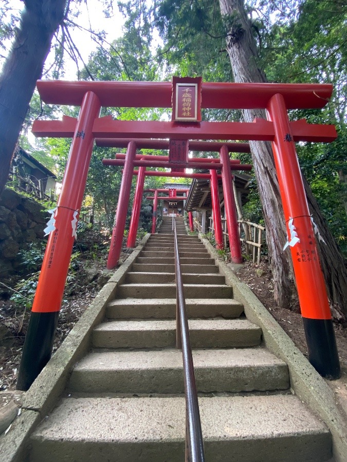 千歳山稲荷神社‼️