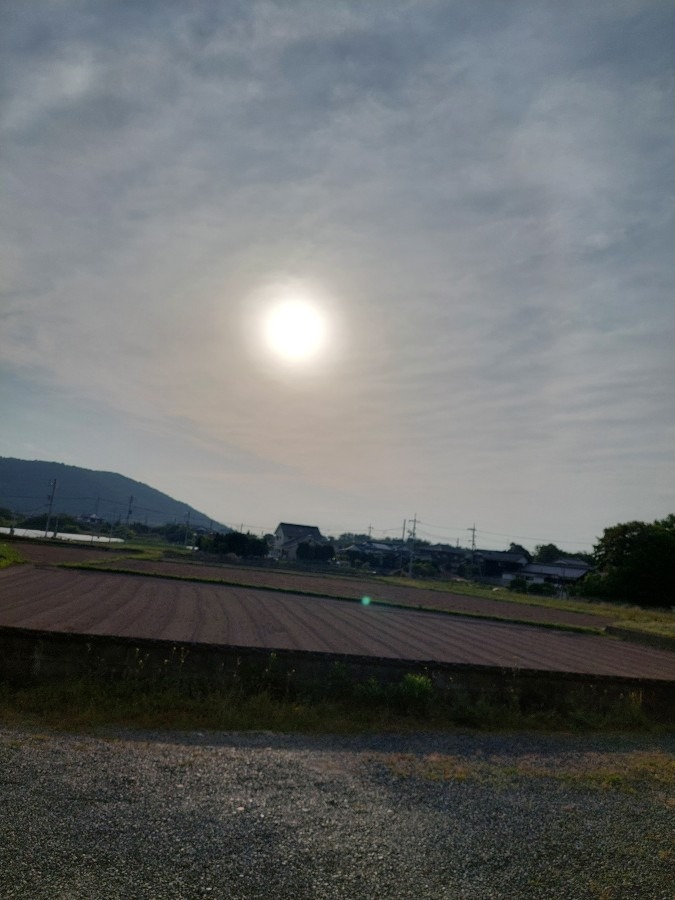 5/28 朝空