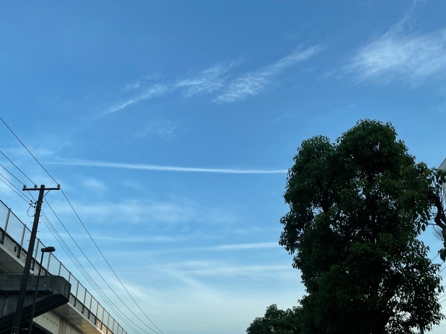 一直線、飛行機雲見つけた✨☺️