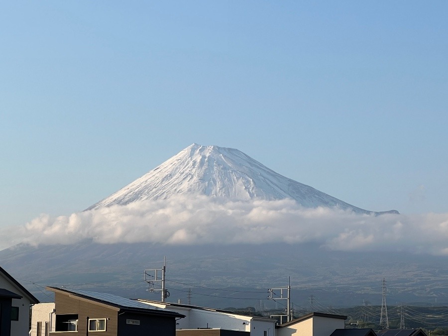 なごり雪？