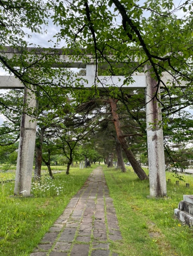 蒼柴神社⛩