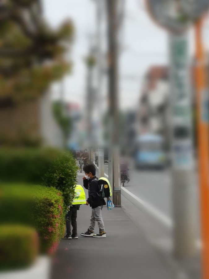 昨日　朝✨　雨の前は・・・