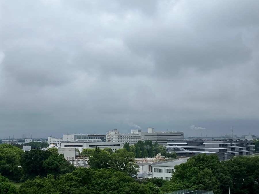 今朝の富士山