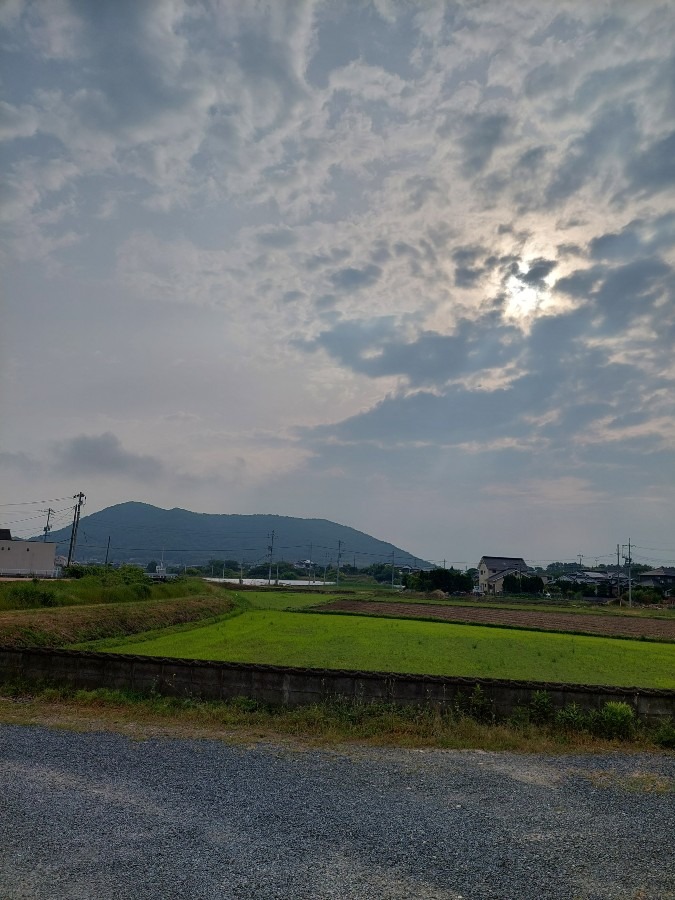 5/26朝空