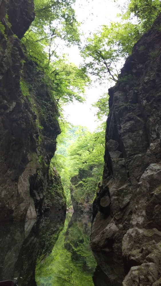 通り抜け参拝　