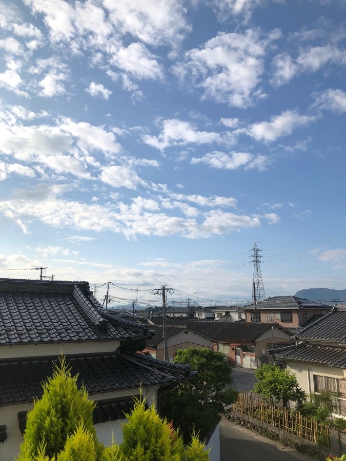 今朝の空(15)