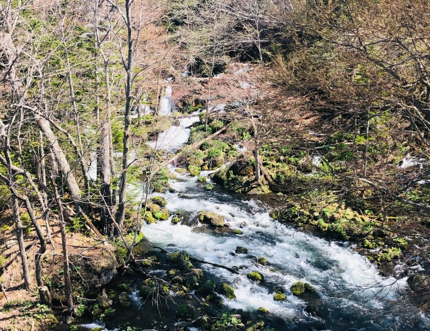 阿寒湖から流れる滝