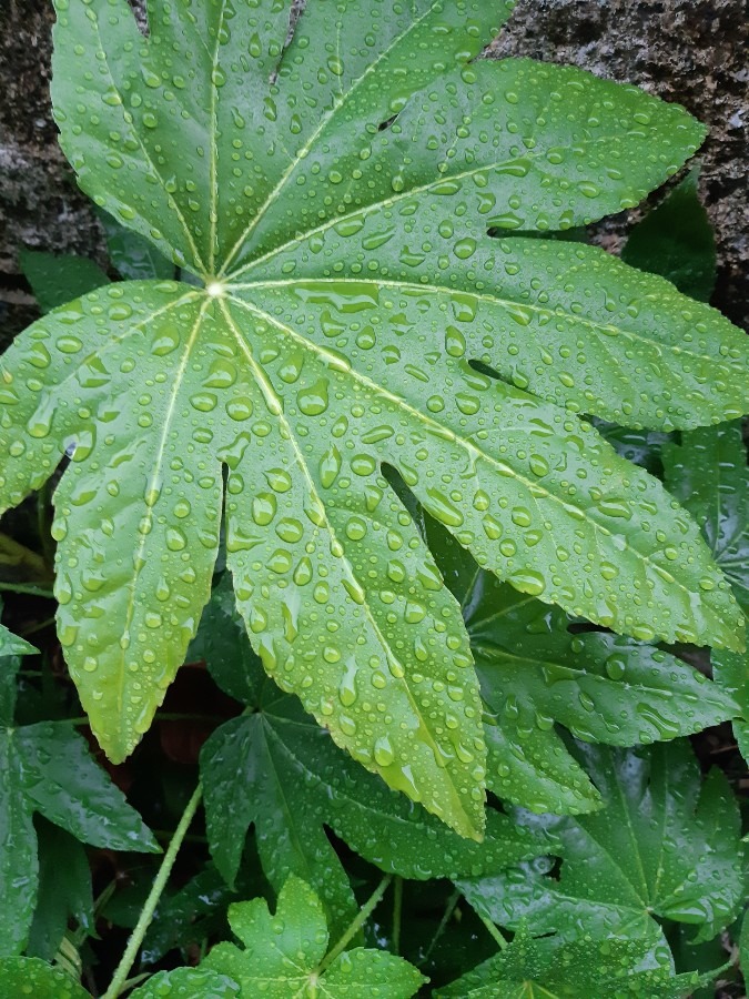 雨☔