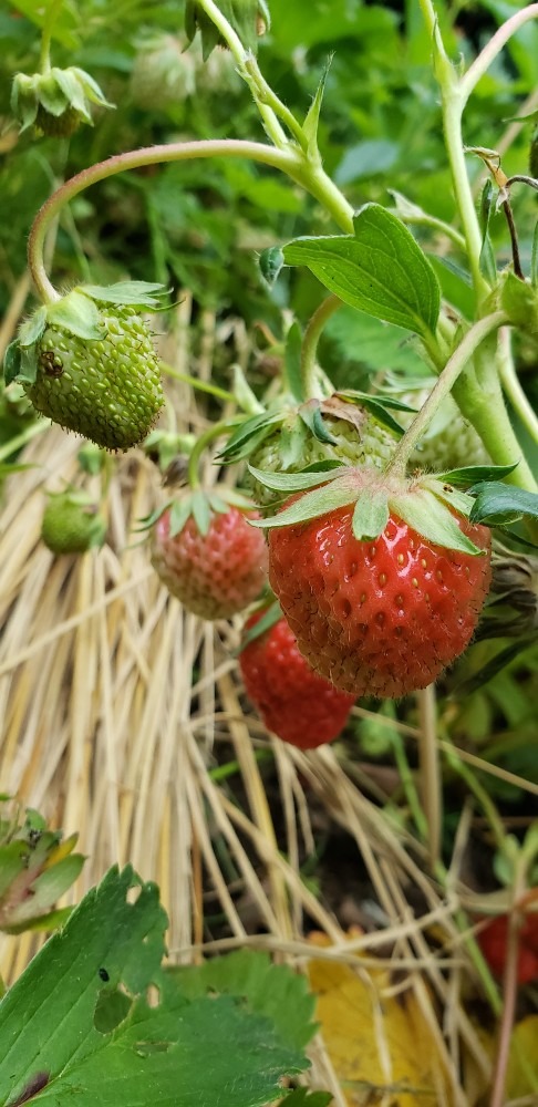 露地物🍓