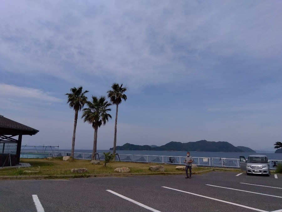 陸奥記念館駐車場からの風景🌴