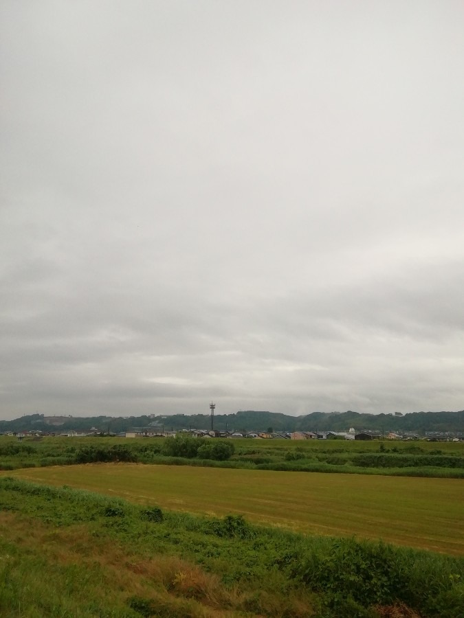 今朝の空