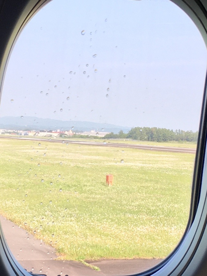 ⭕️機内より、宮崎の空‼️(^O^)