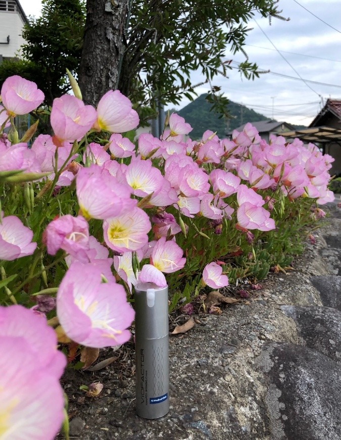 華やかに高みを目指そう❣️