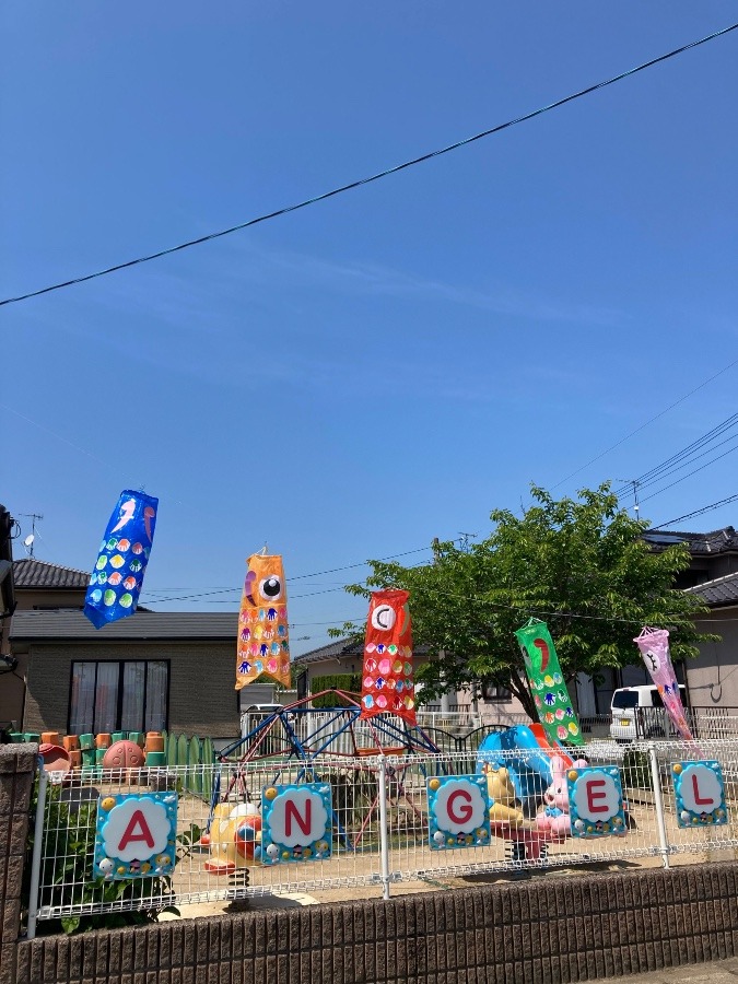 託児所の鯉のぼり🎏