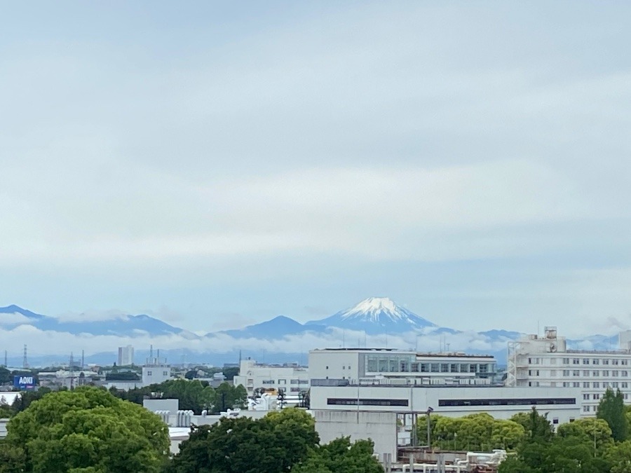 お昼の富士山