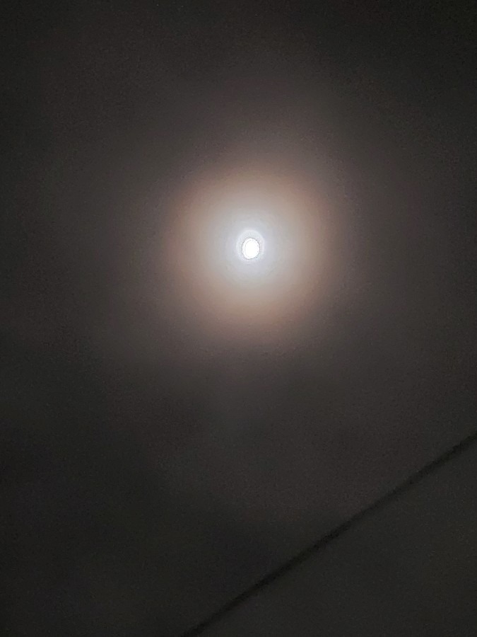 今夜の月