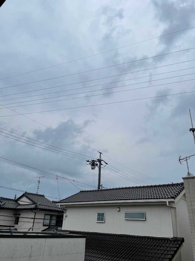 今日は恵の雨⁉️