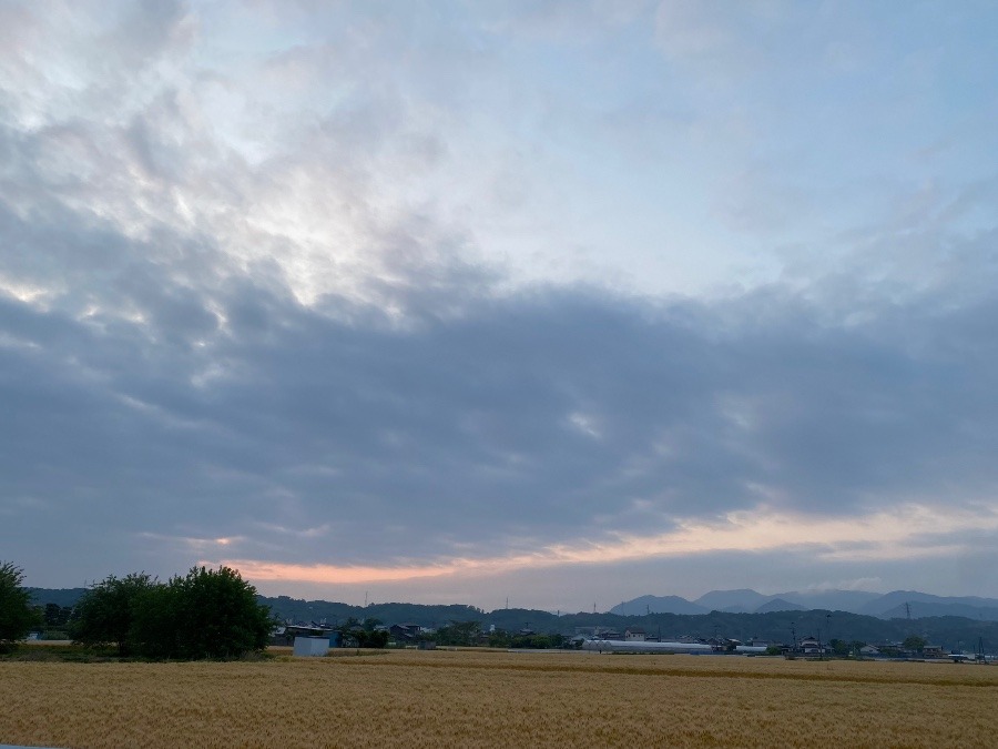 今朝の空②