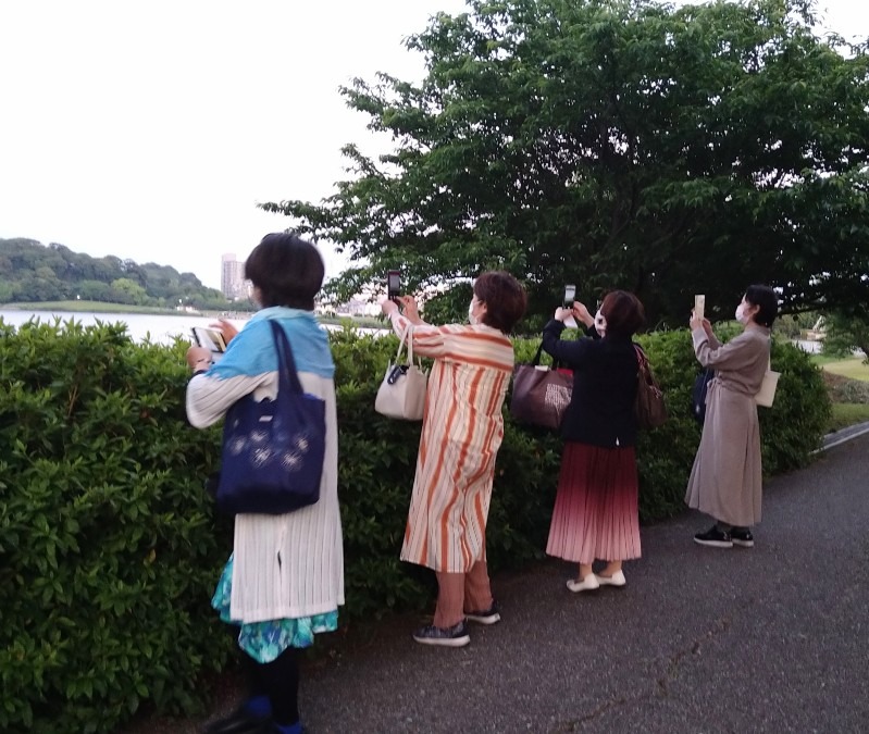 帰る途中で佐鳴湖