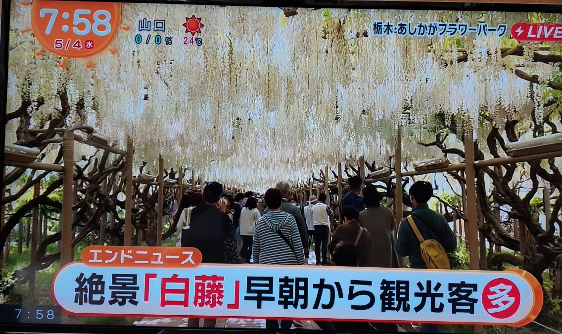 テレビから