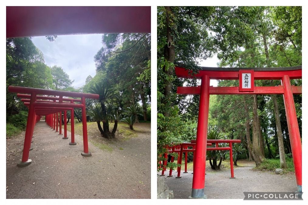 宮崎神宮末社　五所稲荷神社⛩