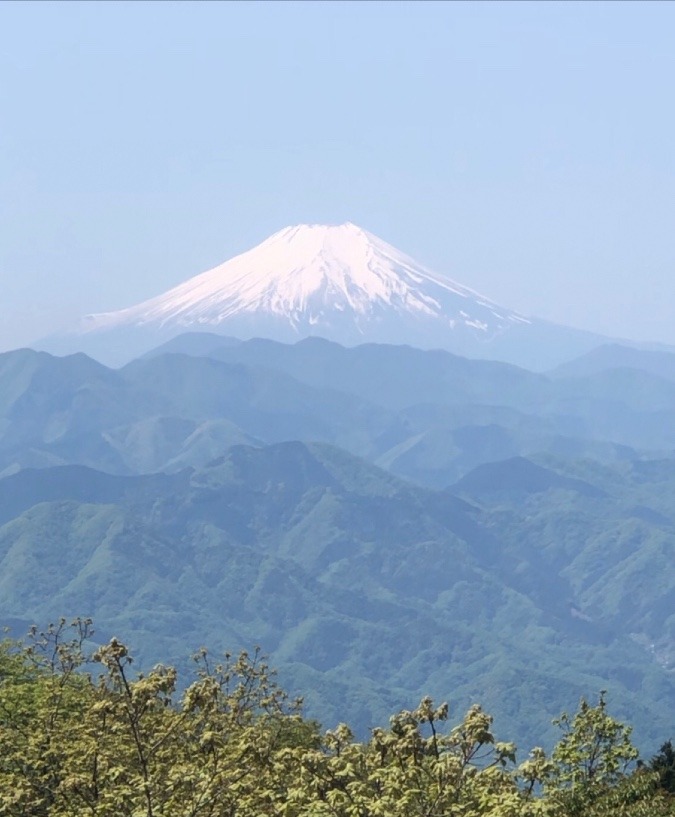 陣馬山からの富士山