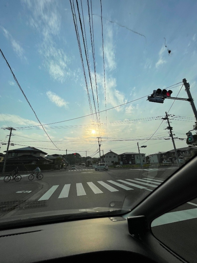 きれいだったから👍