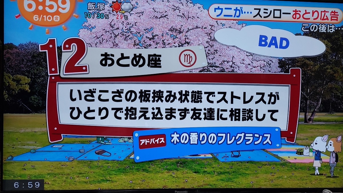 6/10今日の運勢12位おとめ座♍