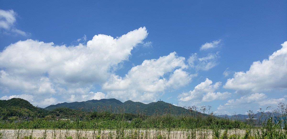 あっ❗️ワニ雲☁️