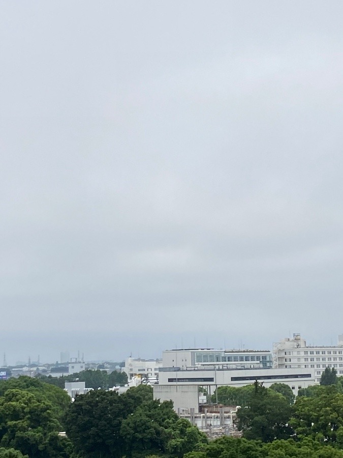 今朝の富士山